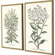 Botanical Plants Green and Multi and Neutral and Yellow Framed Art