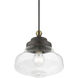 Avondale 1 Light 9 inch Bronze with Antique Brass Accent Mini Pendant Ceiling Light