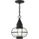 Newburyport 1 Light 9 inch Black Outdoor Pendant Lantern