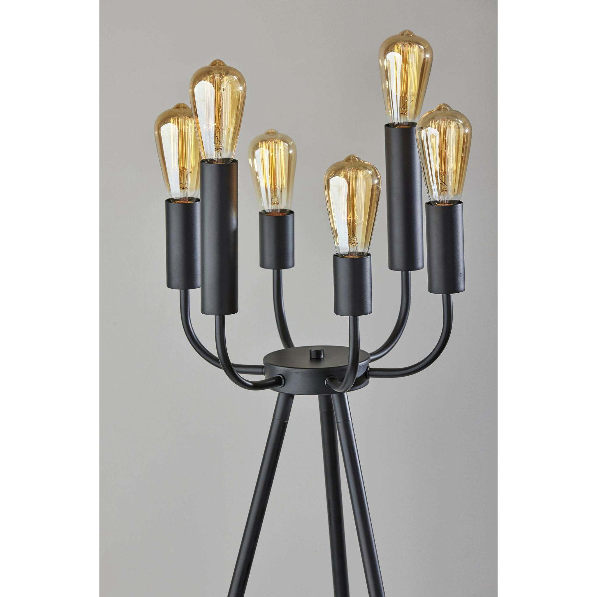 Rory 55 inch 240.00 watt Black Floor Lamp Portable Light