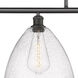 Ballston Ballston Dome 4 Light 50 inch Oil Rubbed Bronze Island Light Ceiling Light in Seedy Glass