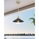 Segan 1 Light 15 inch Coal & Soft Brass (Painted) Mini Pendant Ceiling Light, Outdoor