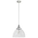 Cypress Grove 1 Light 13 inch Brushed Nickel Pendant Ceiling Light