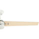 Cassius 60 inch Fresh White with Light Stripe/Fresh White Blades Outdoor Ceiling Fan