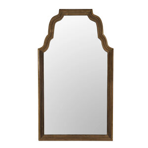 Reclaimed Teak 94 X 53 inch Clear Coat Flat Floor Mirror