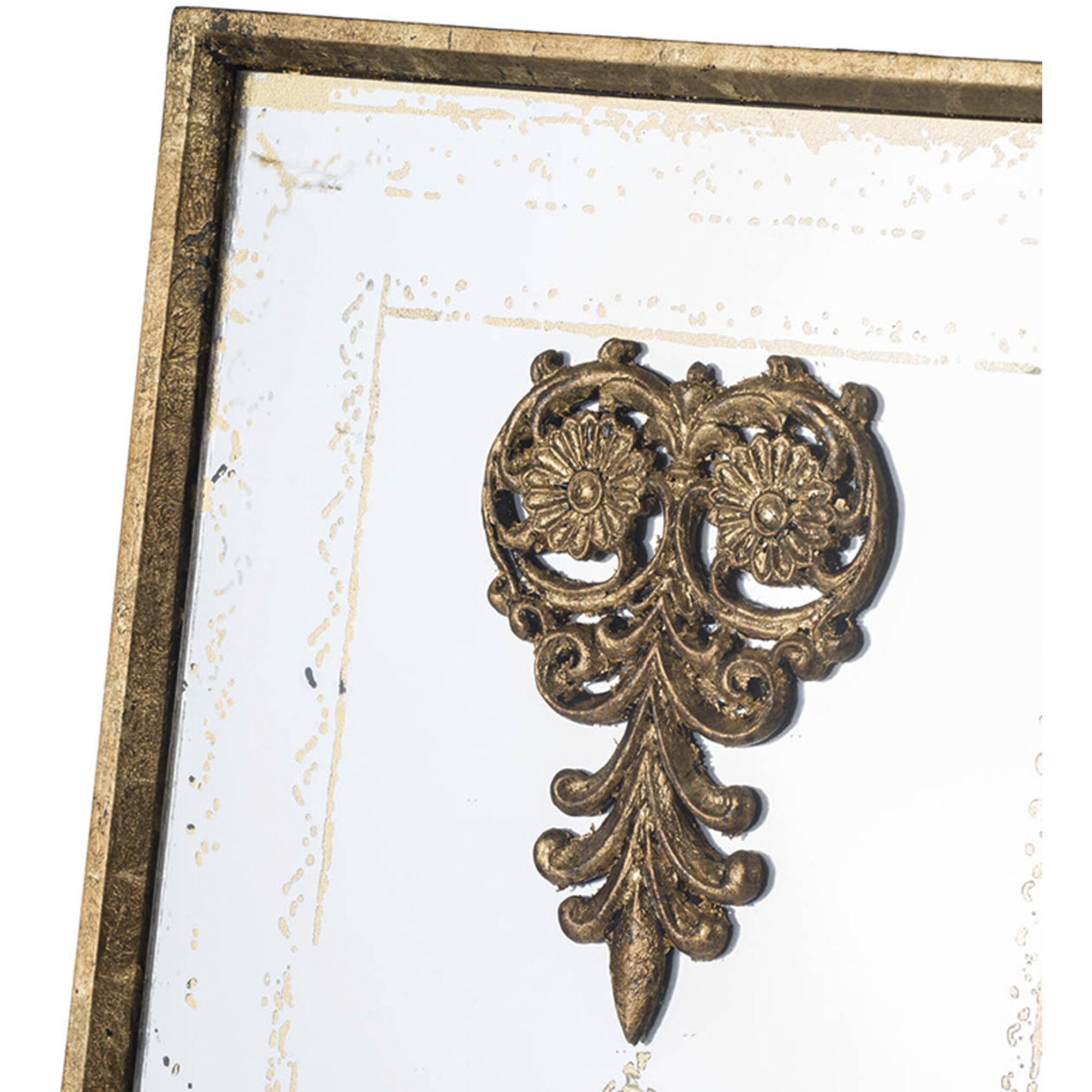 Anita 48 X 15.9 inch Clear and Gold Wall Mirror