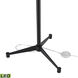 Matthias 65 inch 9.00 watt Matte Black Floor Lamp Portable Light