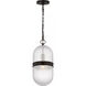 Alexa Hampton Lucinda 1 Light 8 inch Aged Iron Pendant Ceiling Light