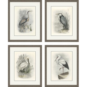 Animals Gray and Beige and Neutral and White Framed Art