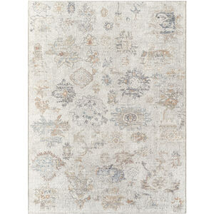 Olympic 45.28 X 25.98 inch Gray/Cream/Tan/Charcoal/Light Brown/Sky Blue Machine Woven Rug in 2.25 x 3.75