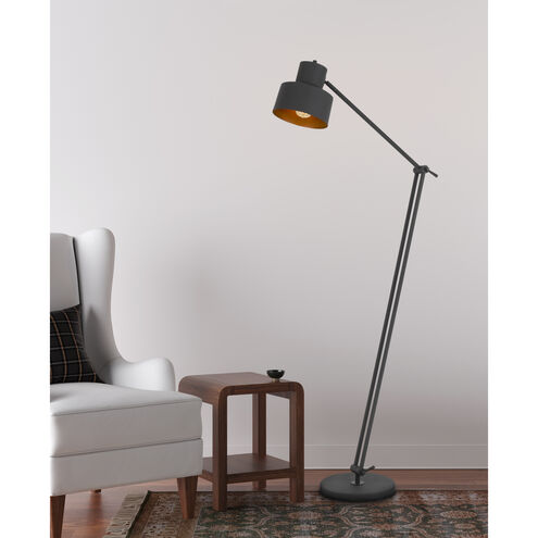 Davidson 65 inch 60.00 watt Matte Black Floor Lamp Portable Light
