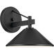 Ripley 1 Light 9.25 inch Black Outdoor Wall Sconce, X-Large