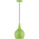 Andes 1 Light 7.75 inch Shiny Apple Green with Polished Chrome Accents Mini Pendant Ceiling Light