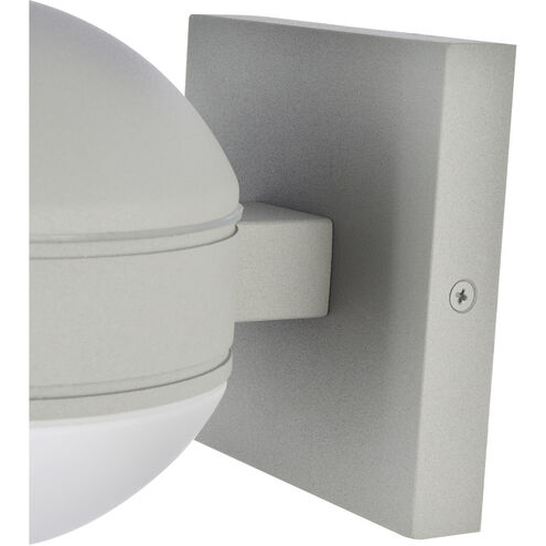 Raine Outdoor Wall Light in Silver