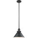 Franklin Restoration Briarcliff 1 Light 10 inch Matte Black Mini Pendant Ceiling Light in Incandescent, Franklin Restoration