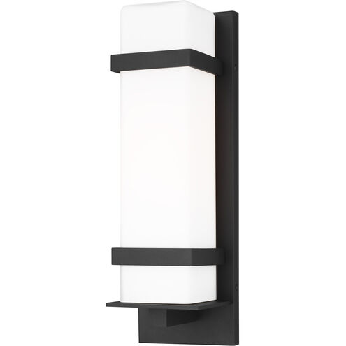 Alban 1 Light 18 inch Black Outdoor Wall Lantern, Medium