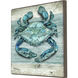 Northpoint Sealife Teal and Turquoise and Gray Canvas