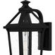 Boulevard Outdoor Wall Lantern, Medium