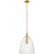 Transitional 1 Light 14 inch Natural Brass Pendant Ceiling Light