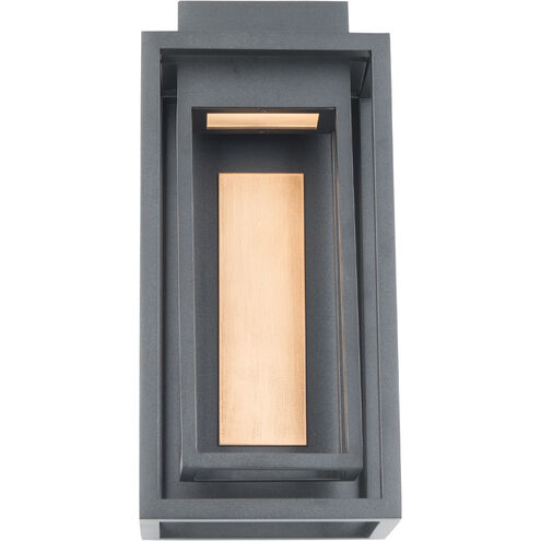 Dorne LED 14 inch Black Aged Brass Outdoor Wall Light in 14in.