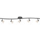 Serpentine 5 Light 120V Brushed Steel Rail Fixture Ceiling Light