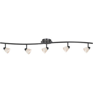 Serpentine 5 Light 120V Brushed Steel Rail Fixture Ceiling Light