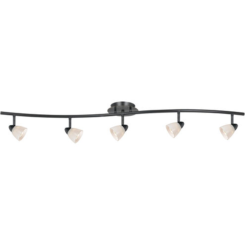 Serpentine 5 Light 120V Brushed Steel Rail Fixture Ceiling Light