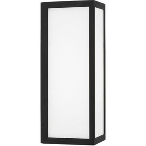 Irvin LED 15.25 inch Black Outdoor Wall Lantern