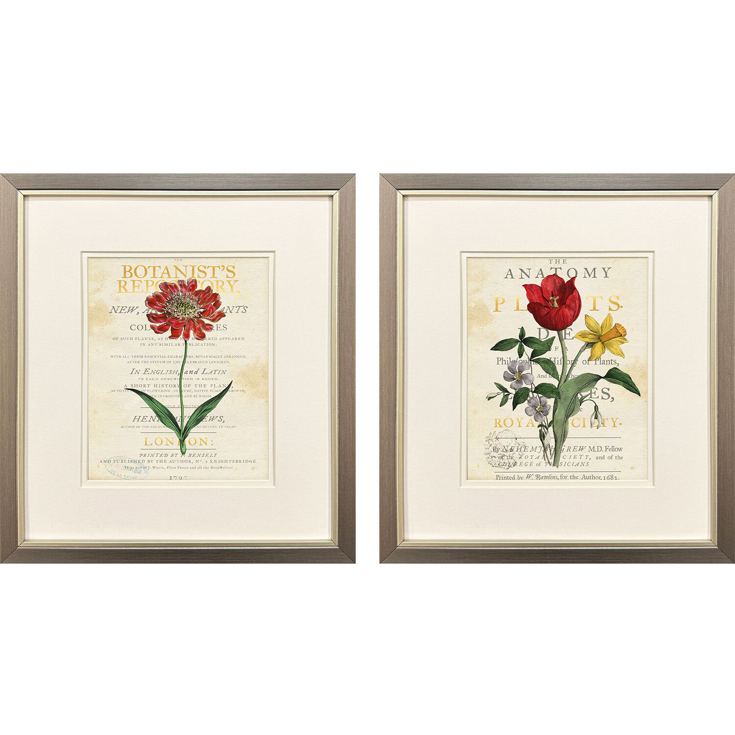 Favorite Flowers Red and Multi and Green and Gray Framed Art, Propac