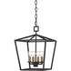 Denison 4 Light 12 inch Mole Black Lantern Pendant Ceiling Light, Small