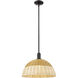 Natural Ballston Dome 1 Light 15.75 inch Mini Pendant