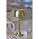 Jimmy 15 inch 2.00 watt Antique Brass LED Cordless Table Lamp Portable Light