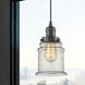Franklin Restoration Canton 1 Light 6 inch Oil Rubbed Bronze Mini Pendant Ceiling Light in Incandescent, Seedy, Franklin Restoration