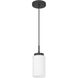 Iris 1 Light 4 inch Matte Black Pendant Ceiling Light