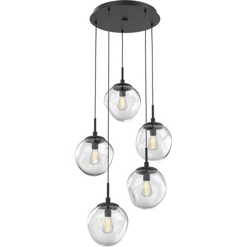 Aster Incandescent 5 Light Matte Black Chandelier Ceiling Light, Round Multi-Port