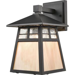 Cottage 1 Light 11 inch Matte Black with Honey Outdoor Wall Sconce in Standard