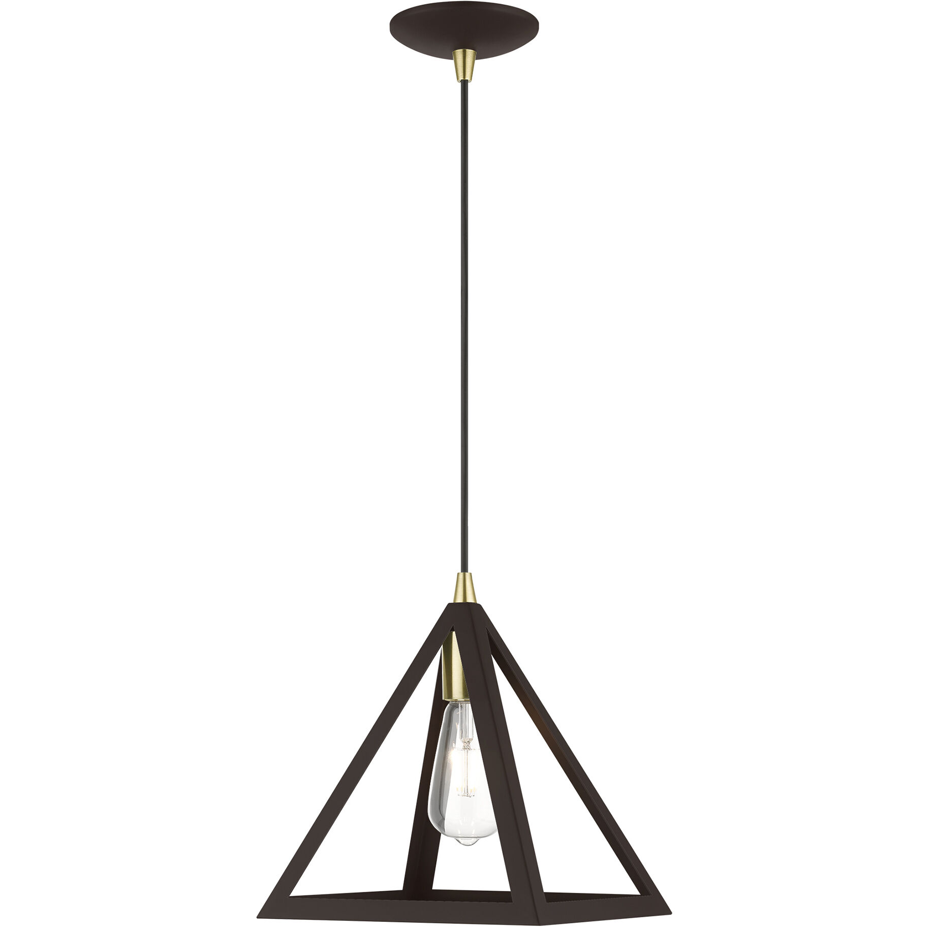 Pinnacle 1 Light 10 inch Bronze with Antique Brass Accents Pendant Ceiling Light