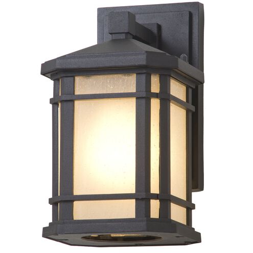 Cardiff 1 Light 9.75 inch Black Outdoor Sconce