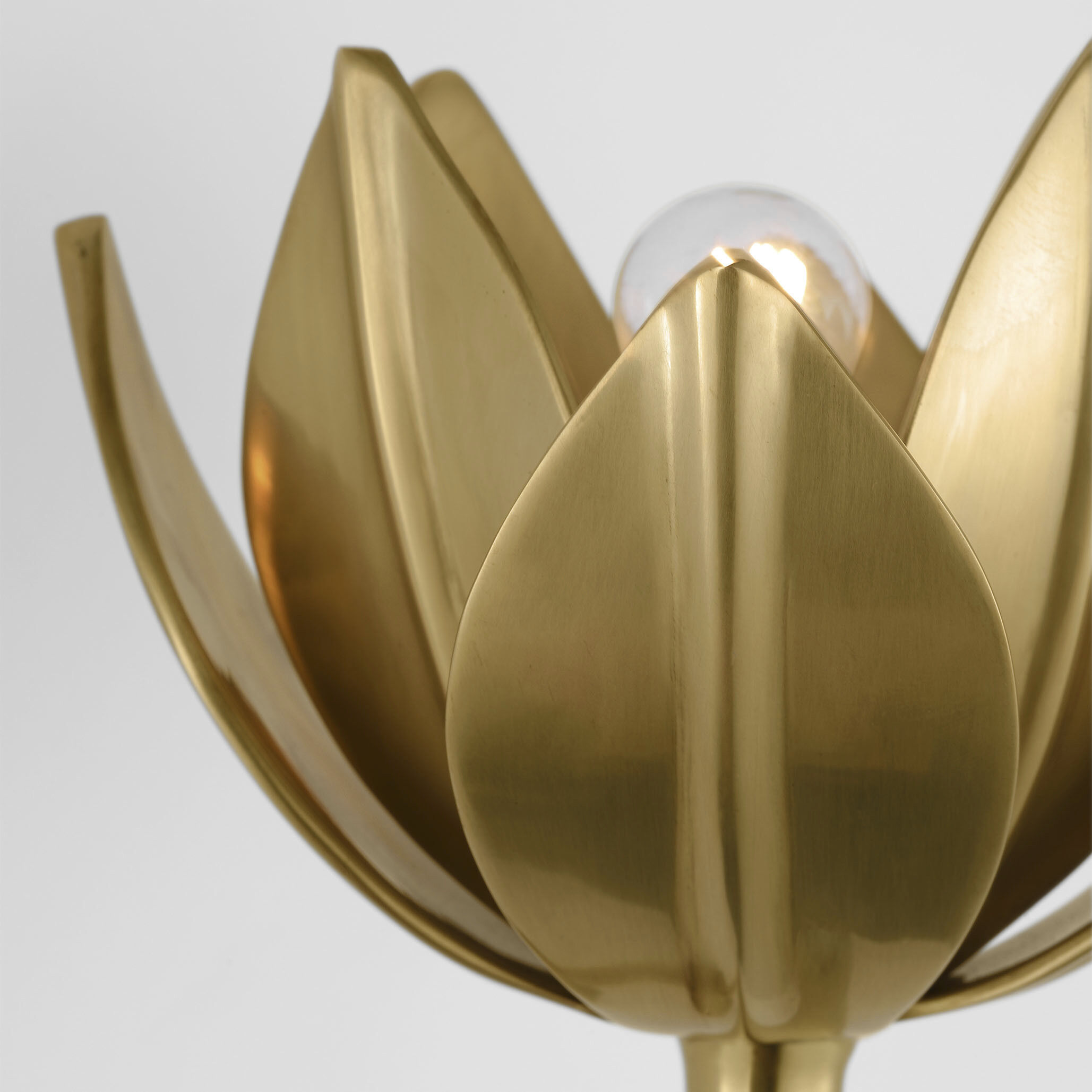 Julie Neill Alberto 1 Light 5.5 inch Antique-Burnished Brass Sconce Wall Light, Medium