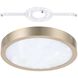Argyle LED 12 inch Champagne Gold Flush Mount Ceiling Light