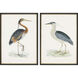 Animals Collection Multi Framed Art