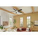Lucian 60 inch Polished Nickel with Black/Silver Blades Ceiling Fan