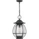 Boston 1 Light 10.5 inch Mottled Black Outdoor Hanging Lantern