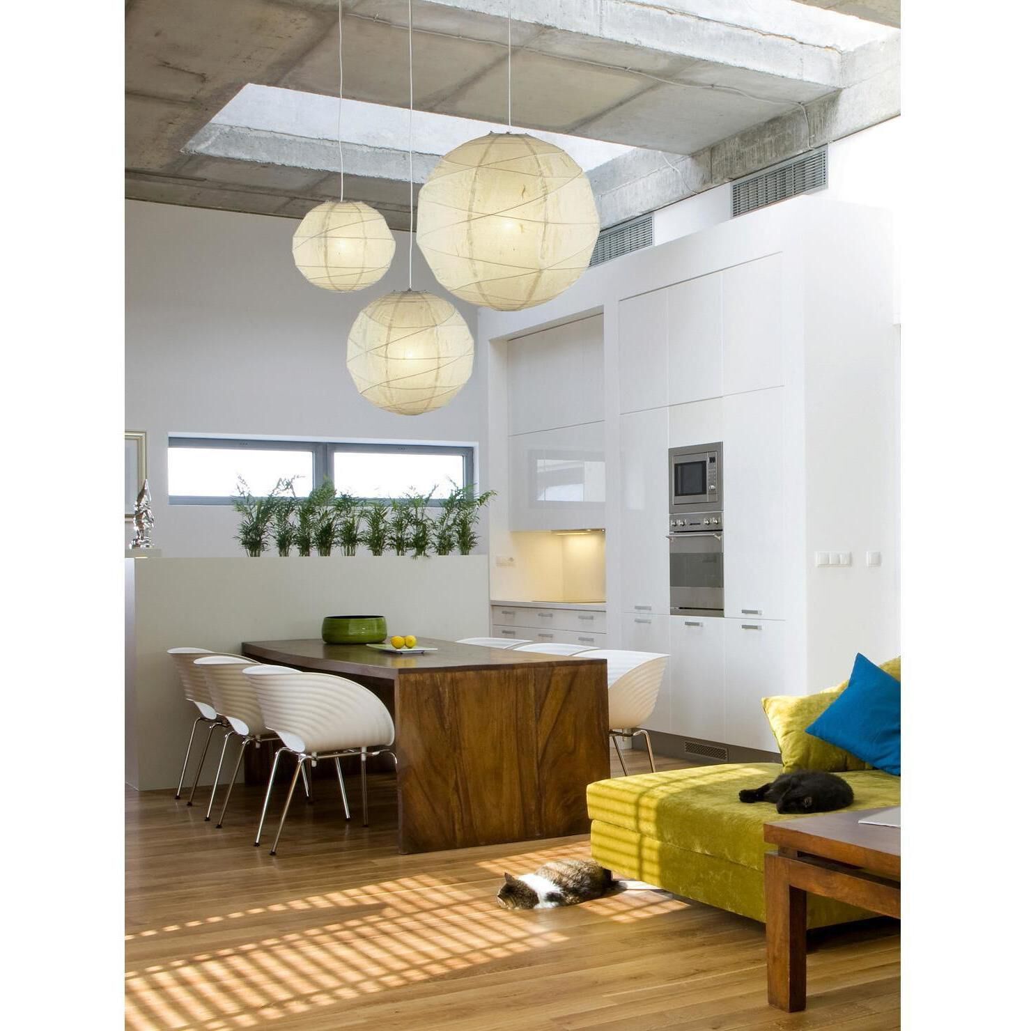 Large orb pendant light online