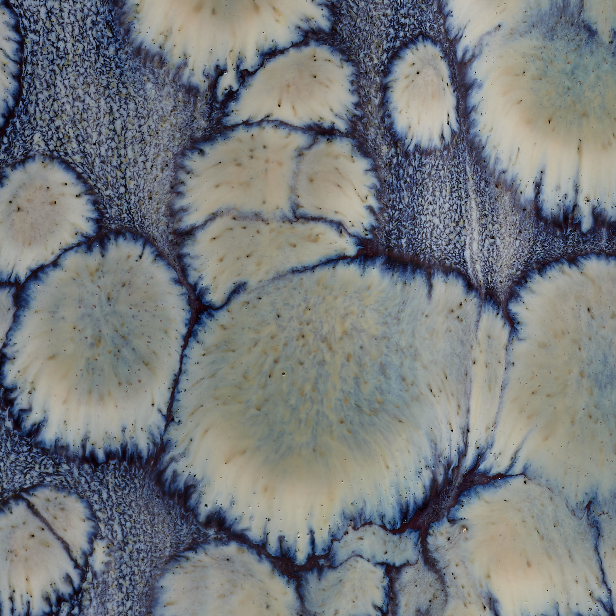 Cloud 12 X 5 inch Vases, Set of 2