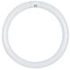 Lumos Fluorescent 32 watt 6500K Light Bulb, Circline - T5-T6-T9