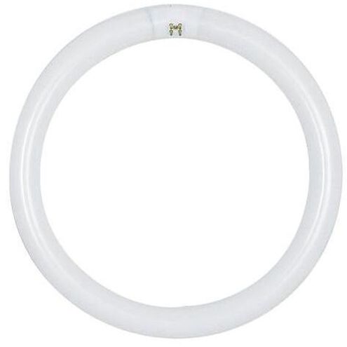 Lumos Fluorescent 32 watt 6500K Light Bulb, Circline - T5-T6-T9