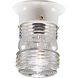 Utility Lantern 1 Light 4.88 inch White Outdoor Flush Mount
