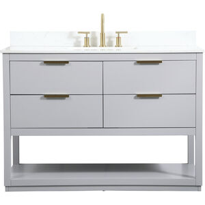 Larkin 48 X 22 X 34 inch Grey Vanity Sink Set