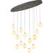 WHP Series 14 Light 14 inch Black Chandelier Ceiling Light